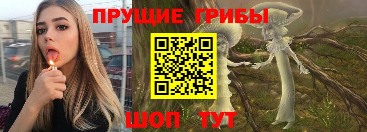 Галлюциногенные грибы Psilocybe  Вход с VPN  Псилоцибиновые грибы мицелий  Шахты 