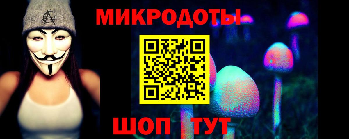 Псилоцибиновые грибы прущие грибы Шахты