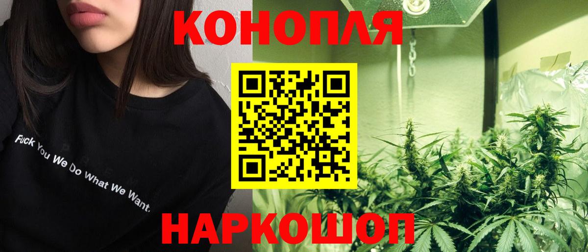 Каннабис OG Kush Шахты